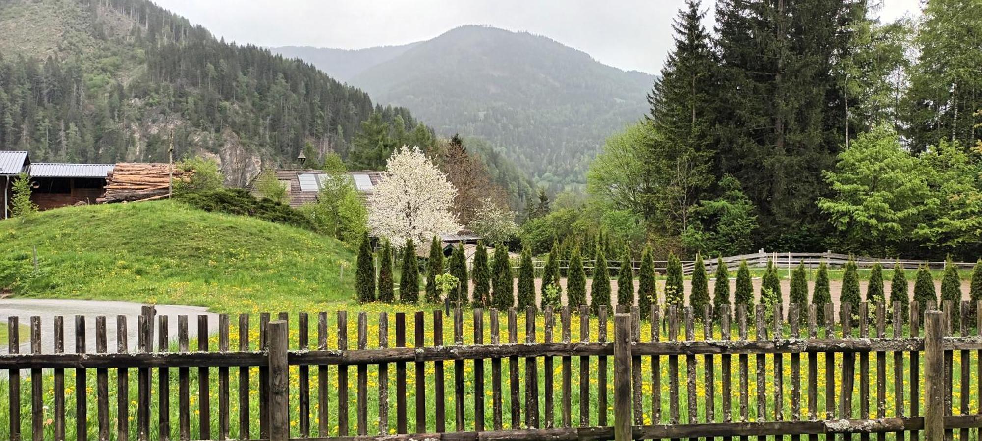 Umundumhuette Villa Katsch an der Mur Eksteriør billede